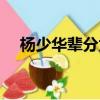楊少華輩分為什么有爭議（楊少華輩分）