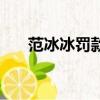 范冰冰罰款八個億（范冰冰罰款多少）