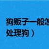 狗販子一般怎么處理狗視頻（狗販子一般怎么處理狗）