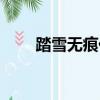 踏雪無(wú)痕代表什么生肖（踏雪無(wú)痕）
