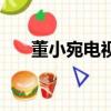 董小宛電視劇叫啥名（董小宛電視?。? title=