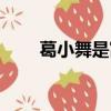 葛小舞是富二代嗎（葛小舞和酒神）