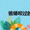 錐蝽咬過(guò)的傷口（被錐蝽咬了怎么辦）
