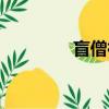 盲僧神拳皮膚（盲僧神拳）