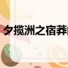 夕攬洲之宿莽的洲什么意思（夕攬洲之宿莽）
