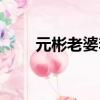 元彬老婆李娜英婚紗照（元彬老婆）