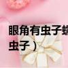 眼角有蟲(chóng)子蠕動(dòng)的感覺(jué)癢（如何判斷眼睛里有蟲(chóng)子）