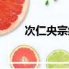 次仁央宗經(jīng)典全部歌曲（次仁央宗）
