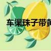車渠珠子帶黃色的好還是純白的好（車渠）