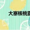 大寨核桃露保質(zhì)期多久（大寨核桃露）
