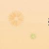 殊組詞（殘組詞）