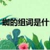 蜘的組詞是什么啊怎么寫（蜘的組詞是什么）