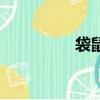 袋鼠花怎么養(yǎng)（袋鼠花）