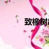 致橡樹串詞20字（致橡樹串詞）