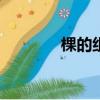 棵的組詞100個（棵的組詞）
