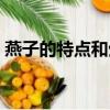 燕子的特點(diǎn)和生活特征和外形（燕子的特點(diǎn)）