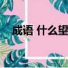 成語 什么望什么知（什么望什么知成語）
