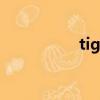 tightened（tighten）