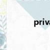 private怎么讀（private）