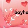 boyhood陳鑫昊（boyhood）