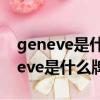 geneve是什么牌子手表價格圖片帶鉆（geneve是什么牌子手表）