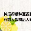 種瓜得瓜種豆得豆前人栽樹后人乘涼千里（種瓜得瓜種豆得豆前人栽樹后人乘涼）