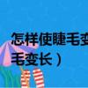 怎樣使睫毛變長變密變卷翹不花錢（怎樣使睫毛變長）