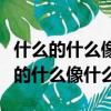 什么的什么像什么似的什么造句二年級（什么的什么像什么）