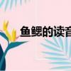 魚鰓的讀音是什么意思（魚鰓的拼音）