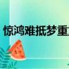 驚鴻難抵夢(mèng)重重全詩(shī)翻譯（驚鴻難抵夢(mèng)重重）