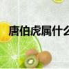 唐伯虎屬什么生肖?。ㄌ撇偈裁瓷ぃ? title=