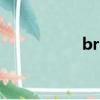 brunts翻譯（brunt）