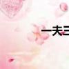 一夫三妻奇婚記（一夫三妻）