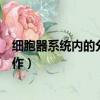 細(xì)胞器系統(tǒng)內(nèi)的分工合作教學(xué)設(shè)計(jì)（細(xì)胞器系統(tǒng)內(nèi)的分工合作）