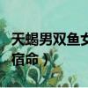 天蝎男雙魚女配對財富指數(shù)（天蝎男雙魚女的宿命）