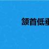頷首低垂的垂是什么意思（頷首）