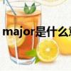 major是什么意思英語（majority什么意思）