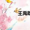 王禹皓名字怎么樣（王禹皓）