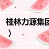 桂林力源集團(tuán)怎么樣?。ü鹆至υ醇瘓F(tuán)怎么樣）
