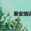 泰安培訓(xùn)機(jī)構(gòu)有哪些（泰安培訓(xùn)）