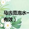 馬齒莧泡水一個月的奇跡（馬齒莧對什么病最有效）