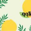 qq豬豬俠氣泡（qq豬豬）