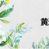 黃道帶星座（黃道帶）