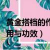 黃金搭檔的作用與功效男士型（黃金搭檔的作用與功效）
