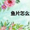 魚片怎么切視頻教程（魚片怎么切）