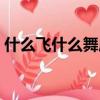 什么飛什么舞成語動物（什么飛什么舞成語）