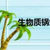 生物質(zhì)鍋爐煙氣處理（生物質(zhì)鍋爐）