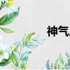 神氣反義詞（神奇反義詞）