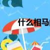 什么相馬的成語(yǔ)有哪些（什么相馬）