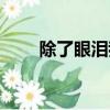 除了眼淚我一無所有（我一無所有）